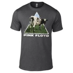 Pink Floyd - Atom HeartT-Shirt Dark Grey XXL